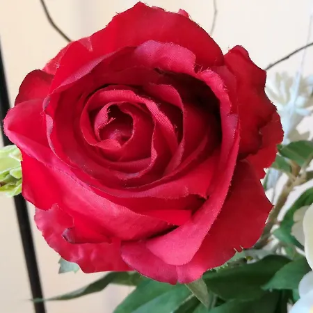 Tatil Evi Dolce Casa Sara Collemeto